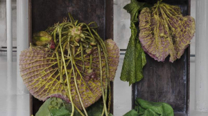 sorry, minified image is missing, click to see the bigger version