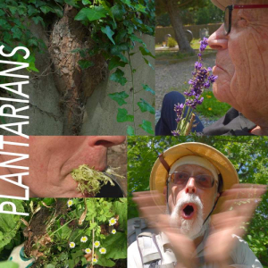 sorry, minified image is missing, click to see the bigger version