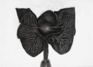 sorry, minified image is missing, click to see the bigger version