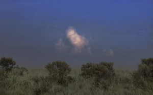 sorry, minified image is missing, click to see the bigger version