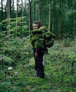 sorry, minified image is missing, click to see the bigger version