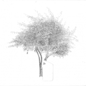 sorry, minified image is missing, click to see the bigger version