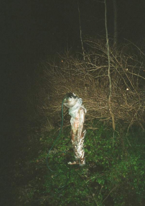 sorry, minified image is missing, click to see the bigger version