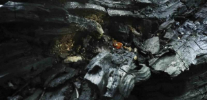 sorry, minified image is missing, click to see the bigger version