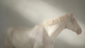 sorry, minified image is missing, click to see the bigger version