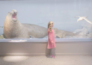 sorry, minified image is missing, click to see the bigger version