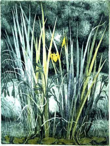 sorry, minified image is missing, click to see the bigger version