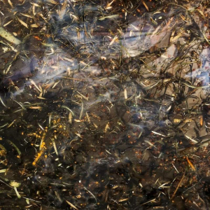 sorry, minified image is missing, click to see the bigger version