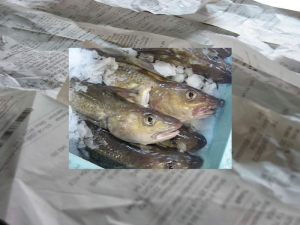 sorry, minified image is missing, click to see the bigger version