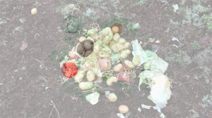 sorry, minified image is missing, click to see the bigger version