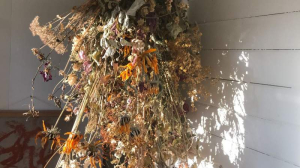 sorry, minified image is missing, click to see the bigger version