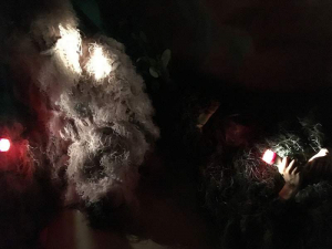 sorry, minified image is missing, click to see the bigger version