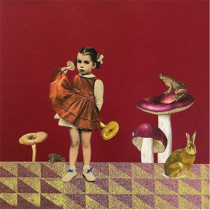 sorry, minified image is missing, click to see the bigger version