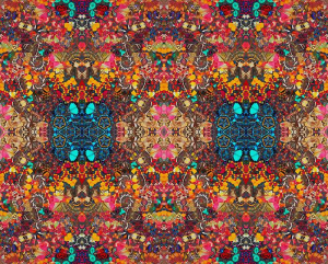 sorry, minified image is missing, click to see the bigger version