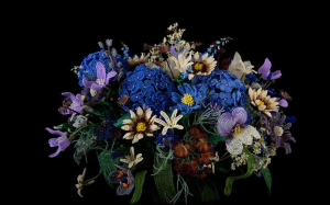 sorry, minified image is missing, click to see the bigger version