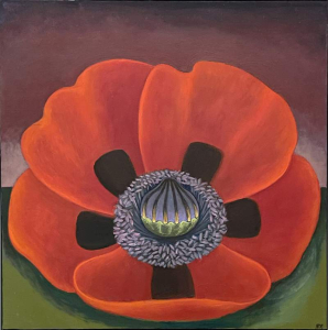 sorry, minified image is missing, click to see the bigger version