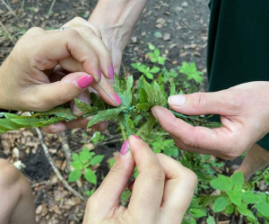 sorry, minified image is missing, click to see the bigger version