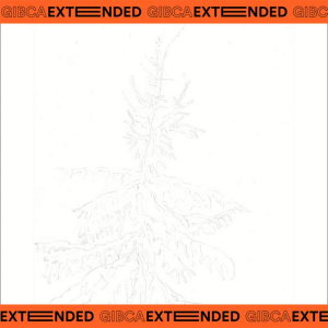 sorry, minified image is missing, click to see the bigger version