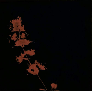 sorry, minified image is missing, click to see the bigger version