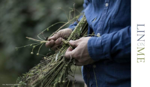 sorry, minified image is missing, click to see the bigger version