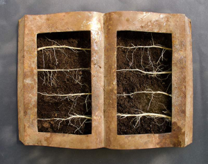 sorry, minified image is missing, click to see the bigger version