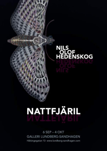 sorry, minified image is missing, click to see the bigger version