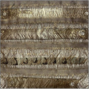 sorry, minified image is missing, click to see the bigger version