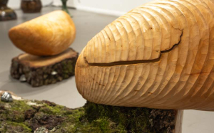 sorry, minified image is missing, click to see the bigger version