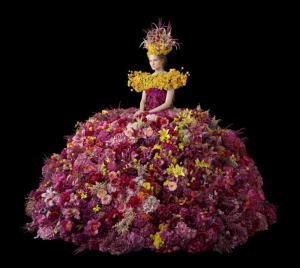 sorry, minified image is missing, click to see the bigger version