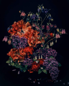 sorry, minified image is missing, click to see the bigger version