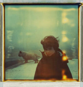 sorry, minified image is missing, click to see the bigger version